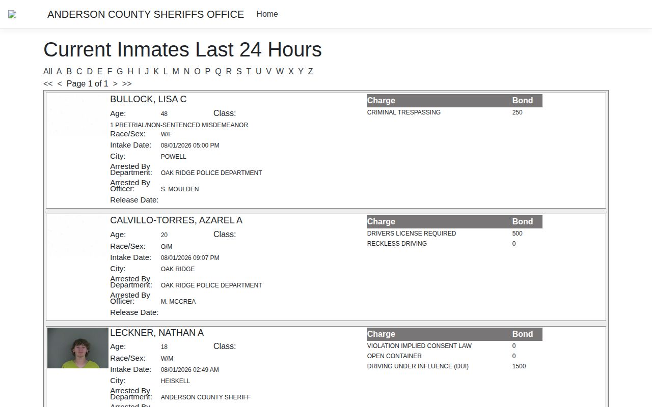 Anderson County released inmate mugshot and booking record portal